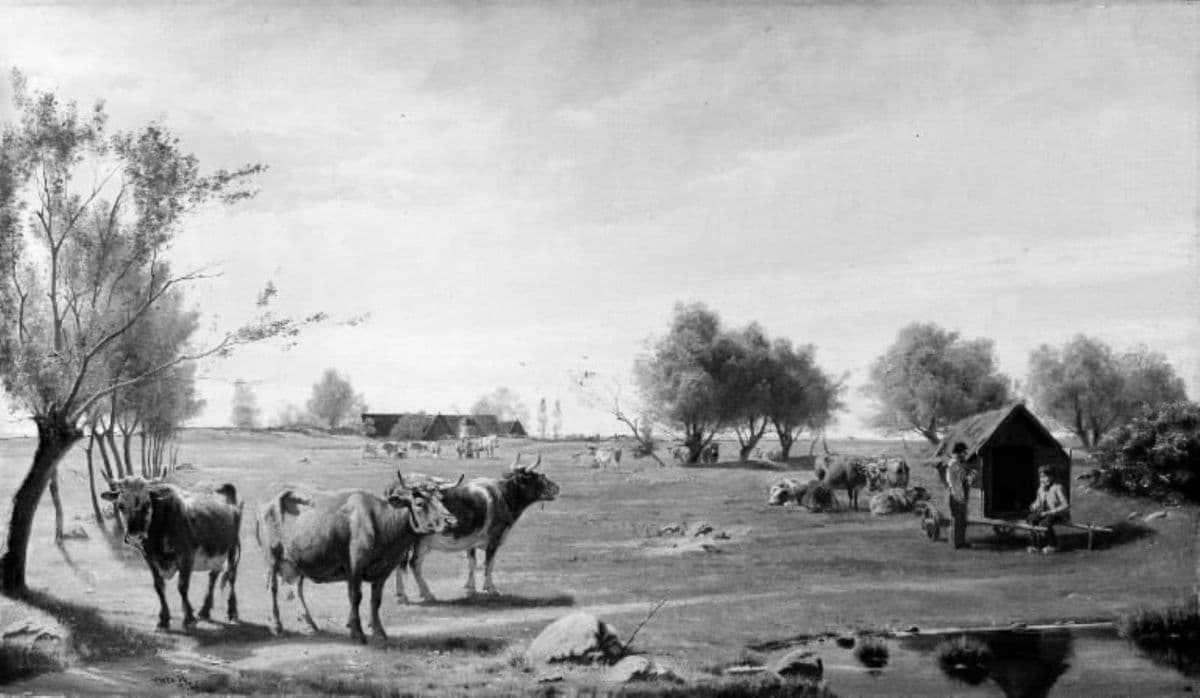 Køer på en mark — Otto Haslund