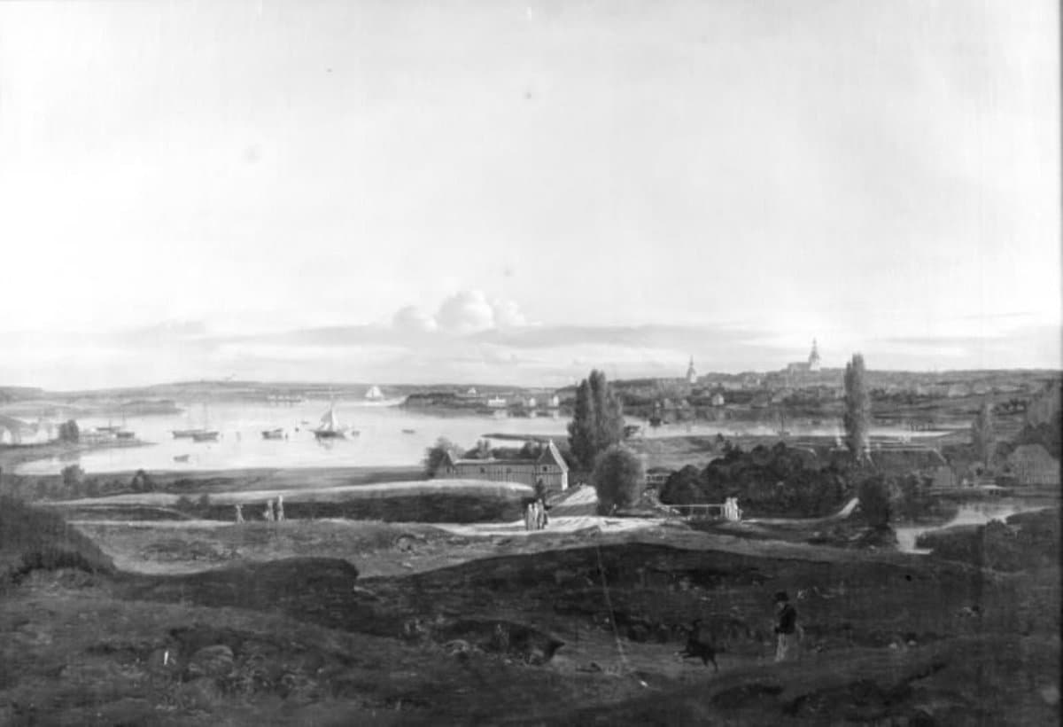 Et parti fra Svendborg, set fra Ørkel Slotsbanke — Ferdinand Richardt