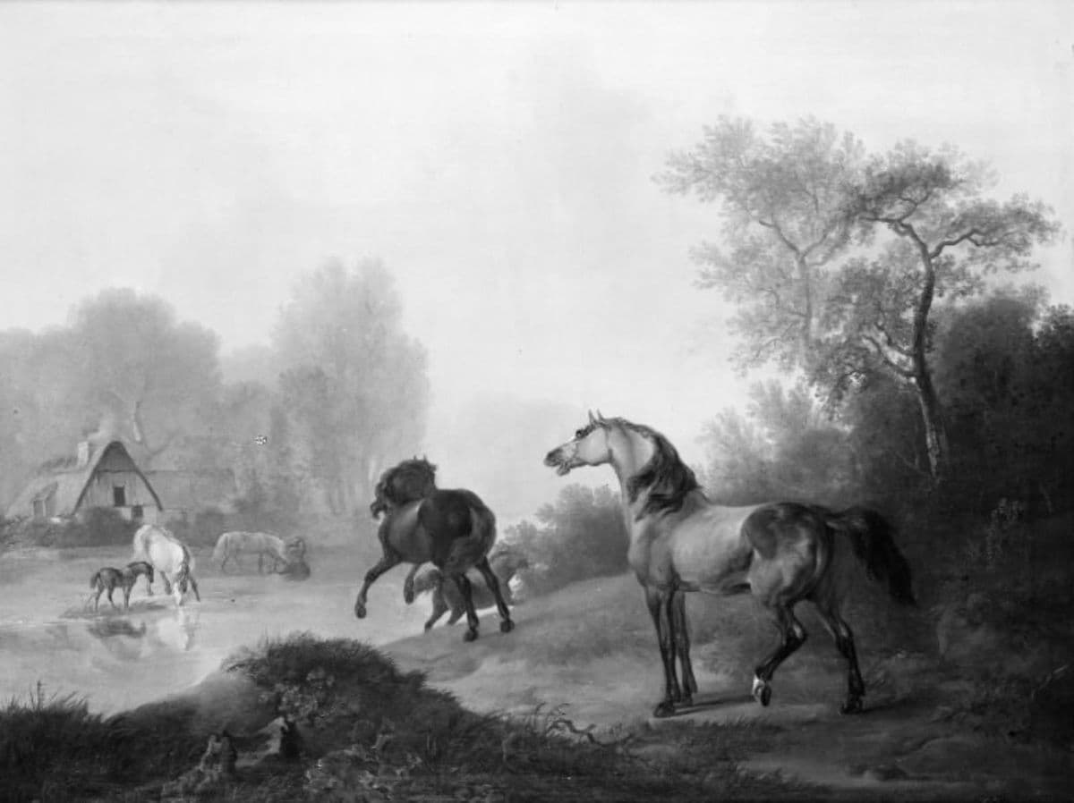 Vilde heste i et stutteri — Christian David Gebauer