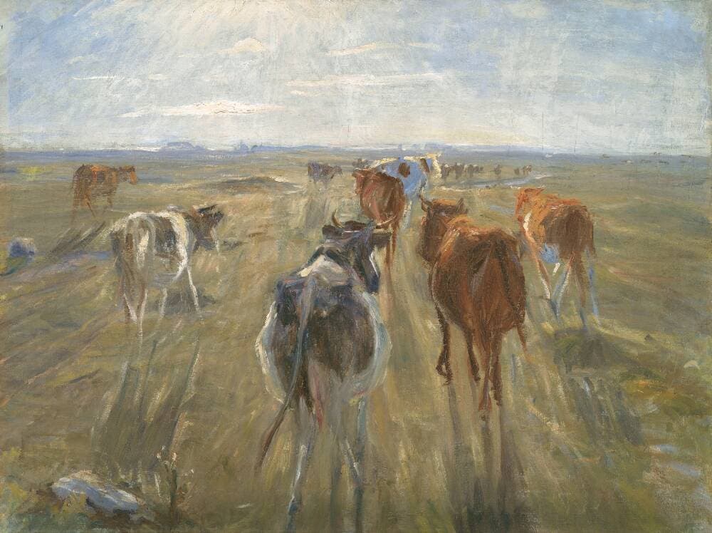Lange skygger. Kvæg på Saltholm — Theodor Philipsen