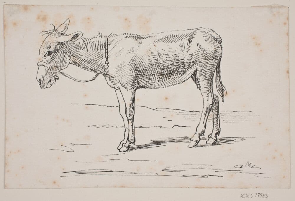 Et æsel — Wilhelm Marstrand