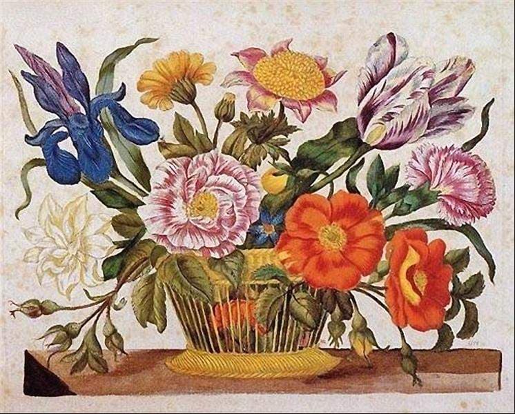 from Der Raupen wunderbare Verwandlung und sonderbare Blumennahrung, Plate CLXIX — Maria Sibylla Merian
