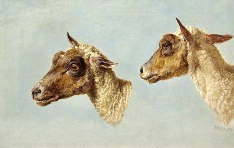 Study of Sheeps’ Heads — James Ward