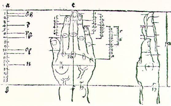 Hand — Albrecht Dürer