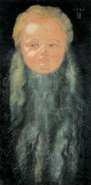 Portrait of a Boy with a Long Beard — Albrecht Dürer