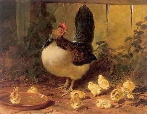 The Proud Mother Hen and Chicks — John Frederick Herring Sr.