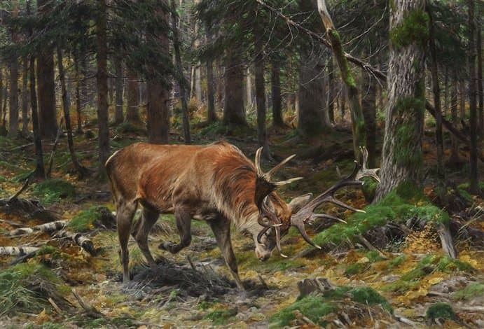 Deer in a Forest Glade — Richard Friese