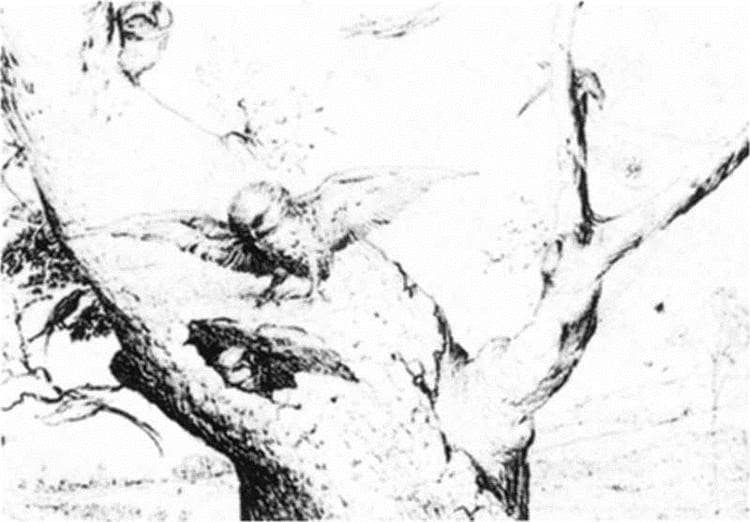 Nest of Owls — Hieronymus Bosch