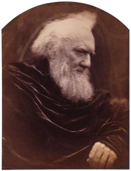 Henry Thoby Prinsep — Julia Margaret Cameron
