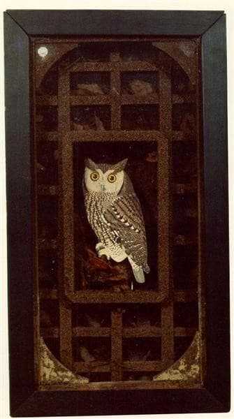 Untitled (Grand Owl Habitat) — Joseph Cornell