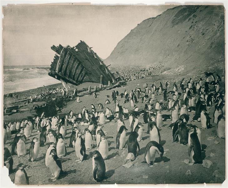 Wreck of the 'Gratitude', Macquarie Island — Frank Hurley