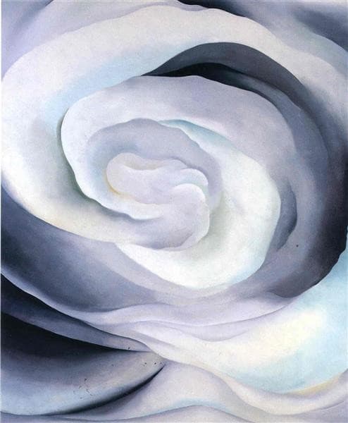 Abstraction White Rose — Georgia O'Keeffe
