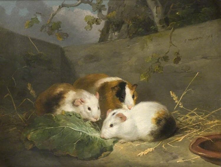 Guinea Pigs — George Morland