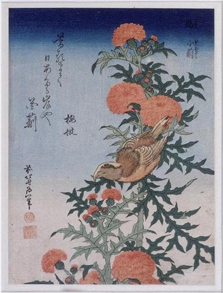 Crossbill and Thistle — Katsushika Hokusai