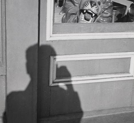 Lion and Shadow — Andre Kertesz