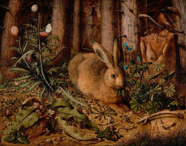 A Hare in the Forest (after Durer) — Hans Hoffmann