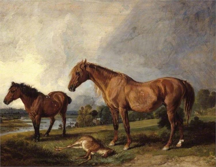 Portraits of Blackthorn, a Broodmare, with Old Jack, a Favourite Pony, the Property of E. Mundy, Esq. — James Ward
