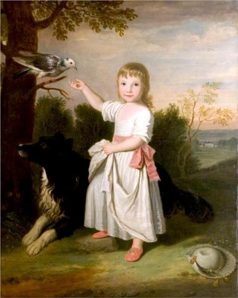 James Abercromby of Tullibody, Esq. — David Allan