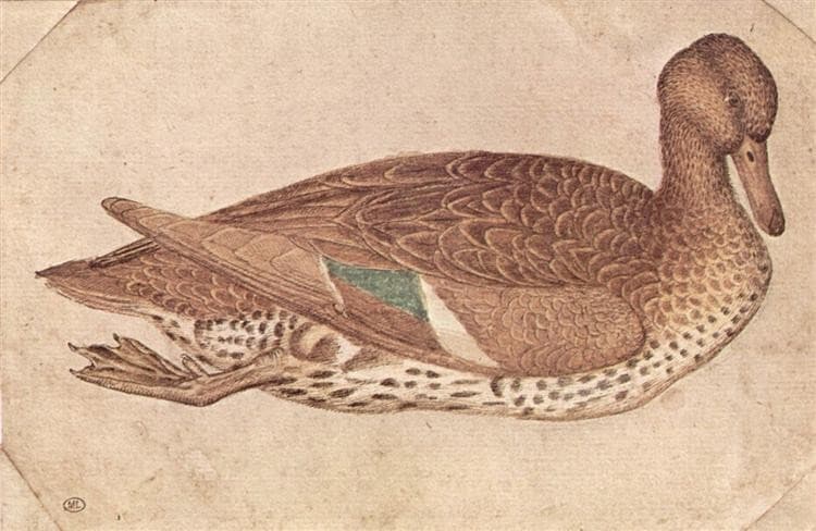 Duck — Pisanello