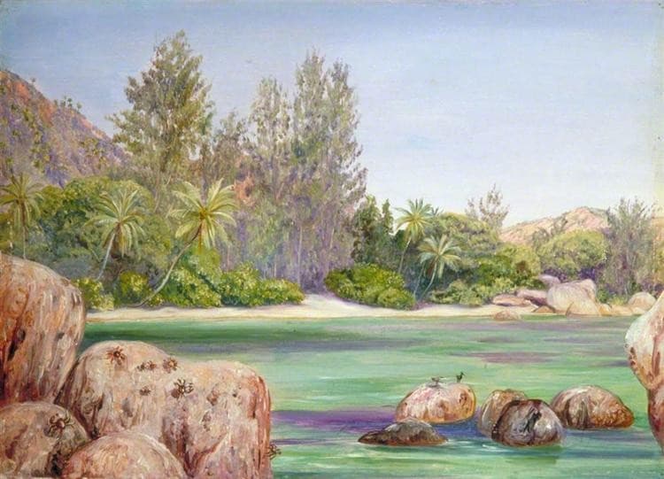 Life on the Coast of Praslin, Seychelles — Marianne North