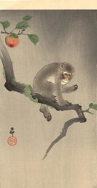 Monkey on the tree — Ohara Shōson