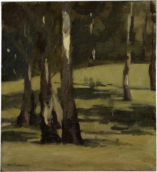 Shadows, landscape with trees — Max Meldrum