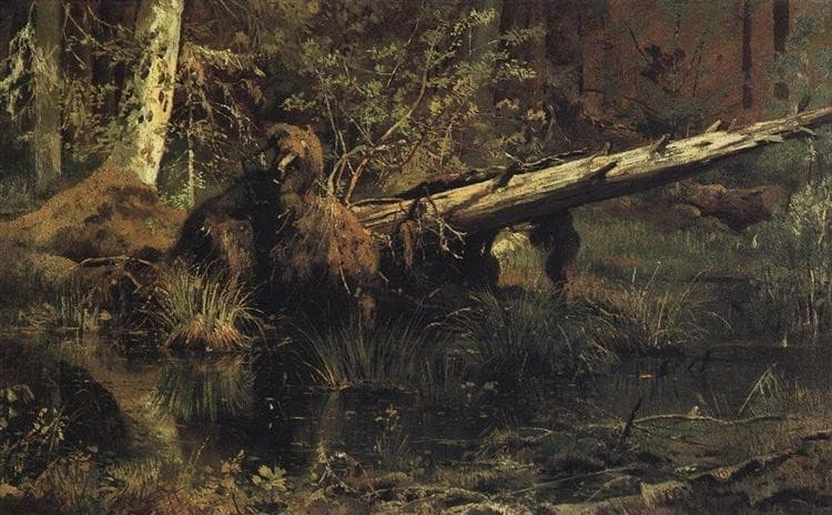 Лес (Шмецк близ Нарвы) — Ivan Shishkin