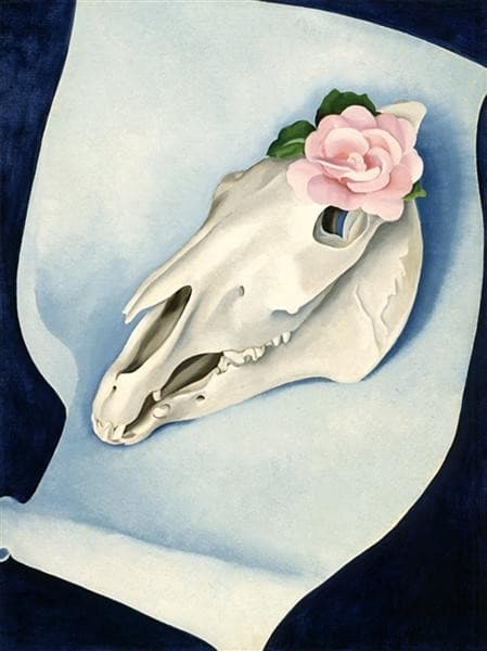 Horse’s Skull with Pink Rose — Georgia O'Keeffe