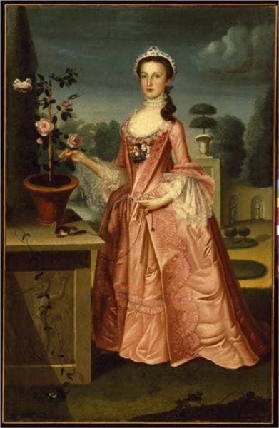 Deborah Hall — William Williams