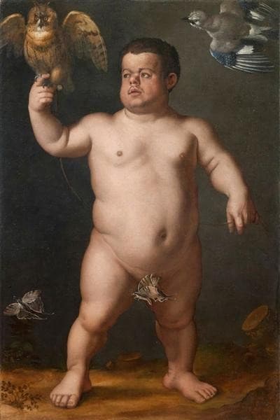 Portrait of Nano Morgante — Bronzino