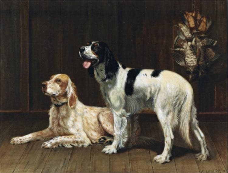 A Pair of Setters — Alexander Pope