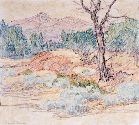 Landscape with Tree — Maurice Braun