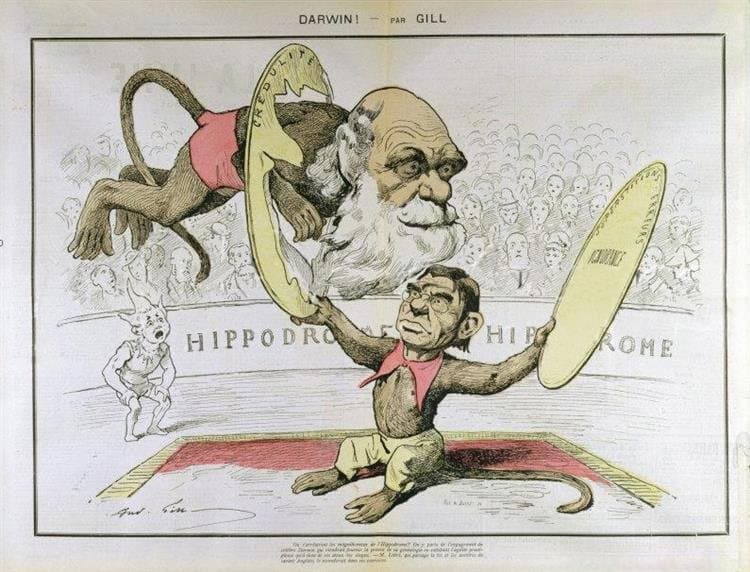 Caricature of Charles Darwin and Émile Littré — André Gill