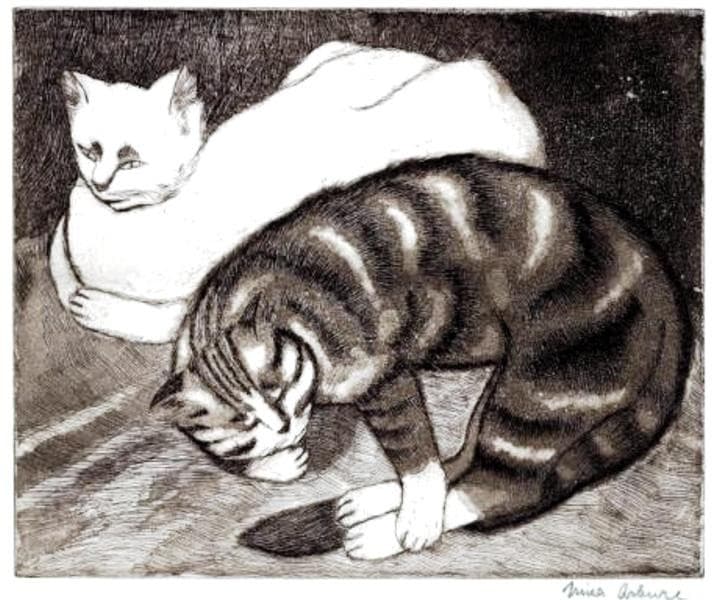 Pisici — Nina Arbore