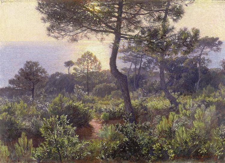 Solnedgång — Elin Danielson-Gambogi