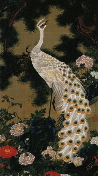 Old Pine Tree and Peacock — Itō Jakuchū