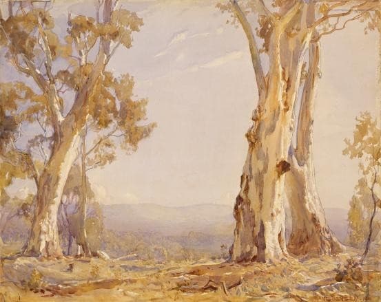 Silver and grey — Hans Heysen
