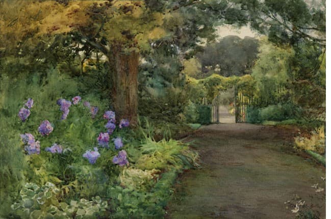 The Lilac Phlox, Kilmurry, Co. Kilkenny — Mildred Anne Butler
