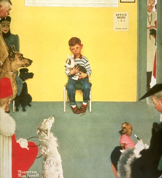 Veterinarian — Norman Rockwell