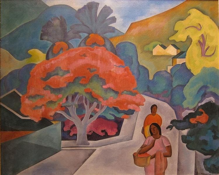 Coral Tree by Black Point, Honolulu, O'ahu — Arman Manookian