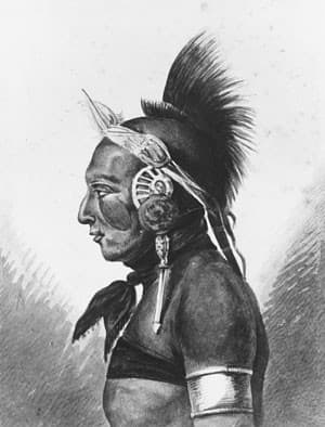 An Osage Warrior — Pavel Svinyin