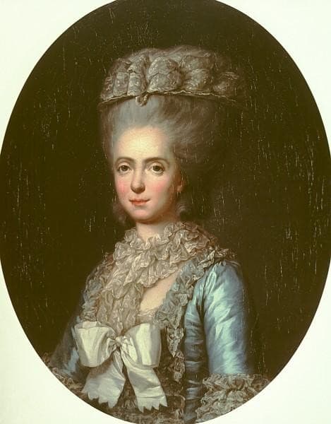 Portrait of Princess Marie Adélaïde of France, called Madame Adelaide — Anne Vallayer-Coster