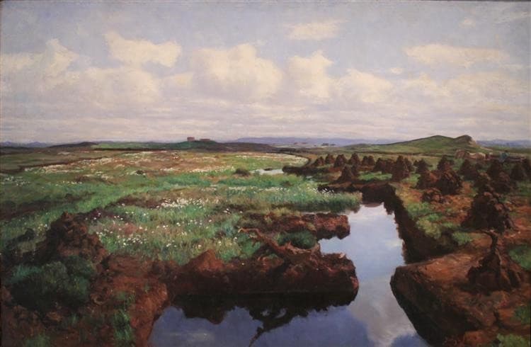 Peat Land in Jæren — Kitty Lange Kielland