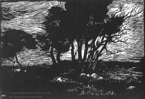 Willows at Straitsmouth — Grace Albee