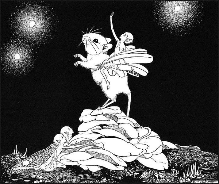 The Fairy Circus — Dorothy Lathrop