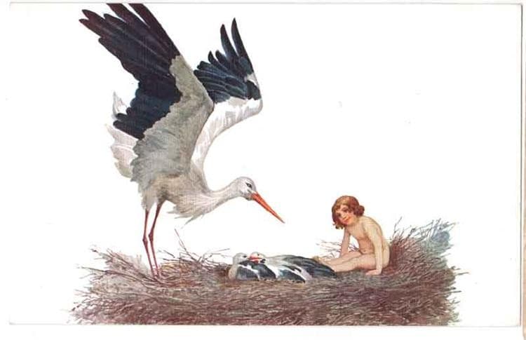 Blessed be the house where a stork nested — Sergey Solomko