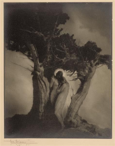 The Heart of the Storm — Anne Brigman