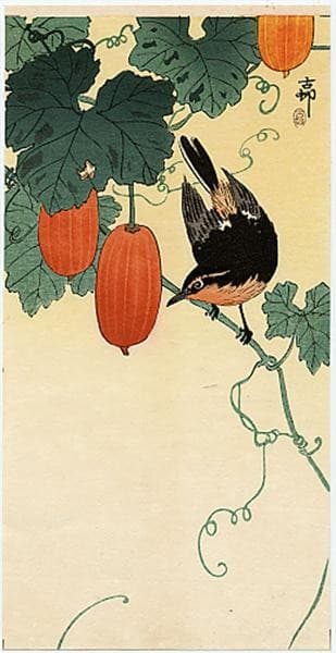 A flycatcher on cucumber bush — Ohara Shōson