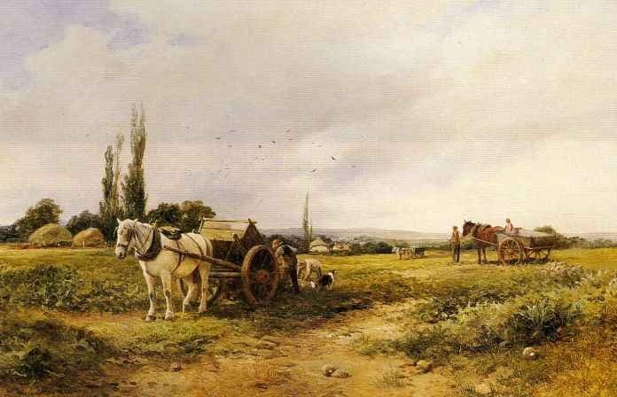 In the mangel field — David Bates