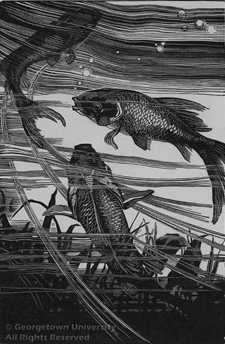 Goldfish — Grace Albee